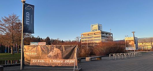 Pferd Bodensee